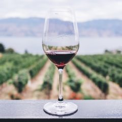 Três opções para comemorar o Dia do Vinho Chileno 2018 em Santiago
